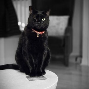 Meet your Posher, Rita